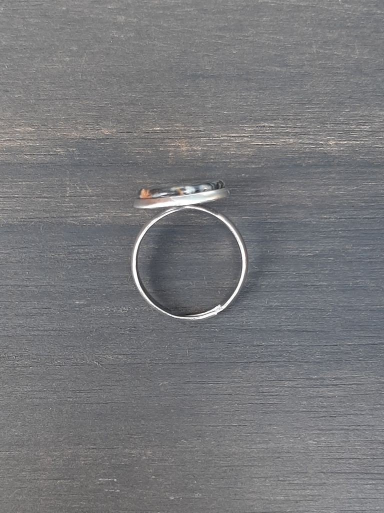 Quiastolita anillo inox 14mm